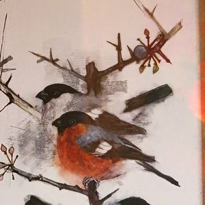 COPY - Vintage Multimedia Art with Distressed Frame